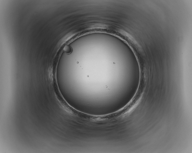 X0000111631113200907171521