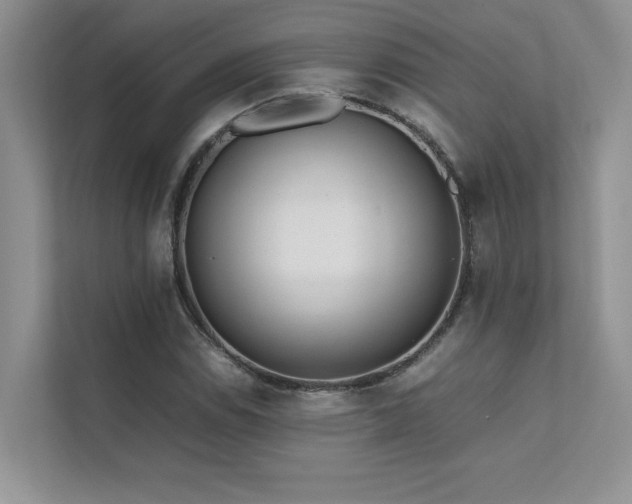 X0000111631114200907171521