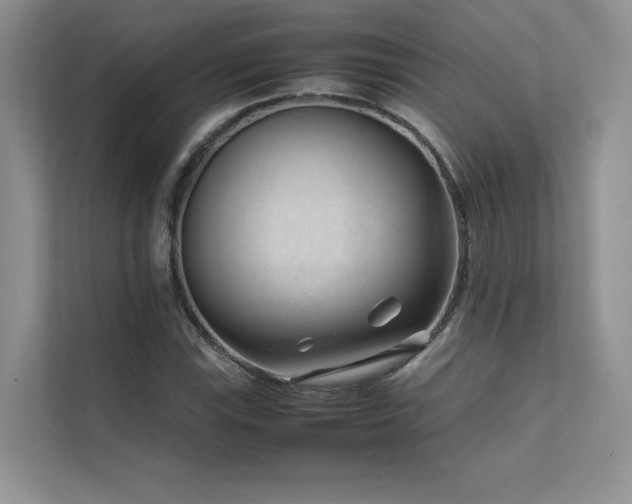 X0000111631115200907171521