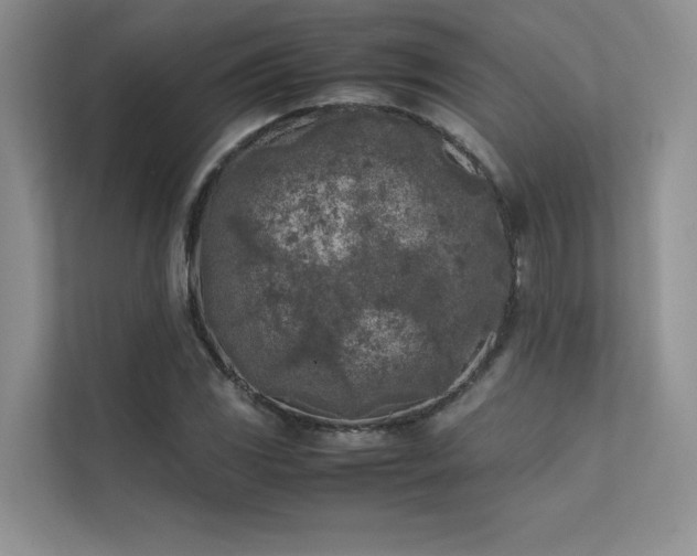 X0000111631117200907171521