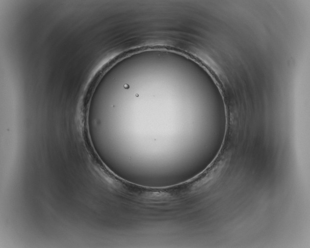 X0000111631119200907171521