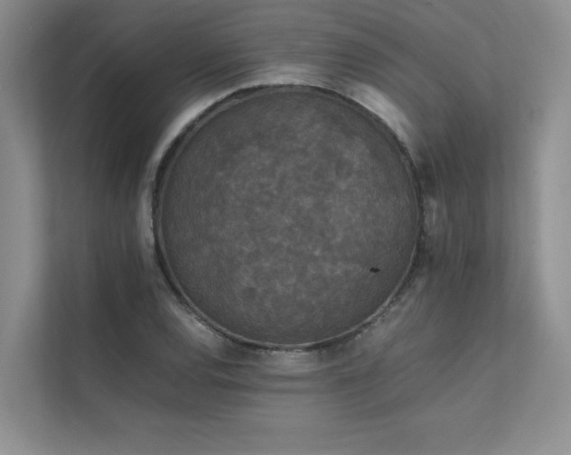 X0000111631120200907171521