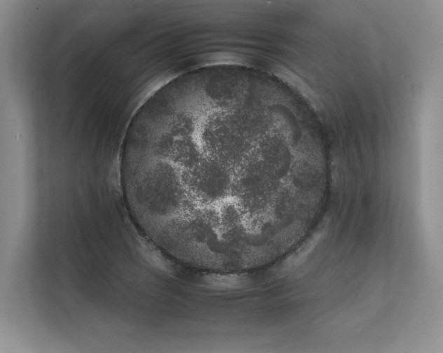 X0000111631121200907171521