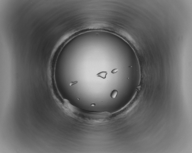 X0000111631122200907171521