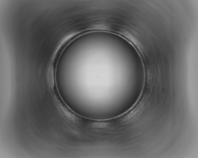 X0000111631123200907171521