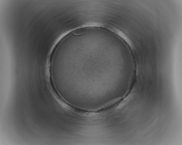 X0000111631124200907171521