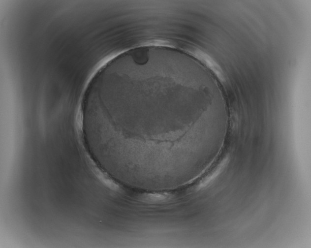 X0000111631125200907171521