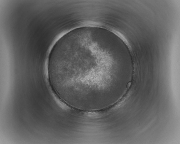 X0000111631128200907171521
