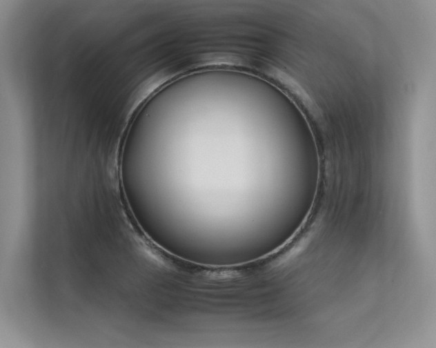X0000111631129200907171521
