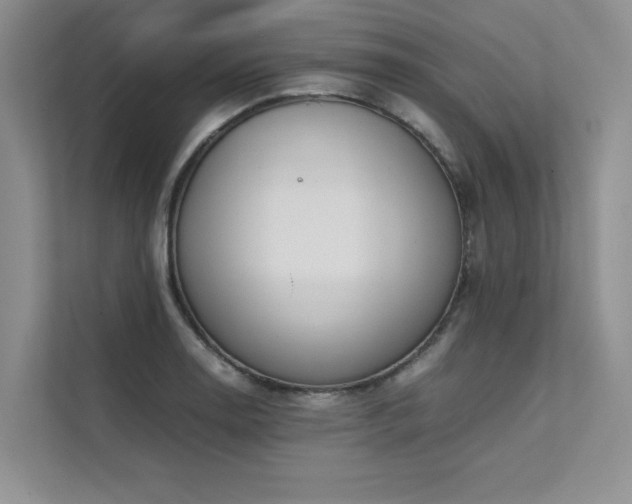 X0000111631130200907171521
