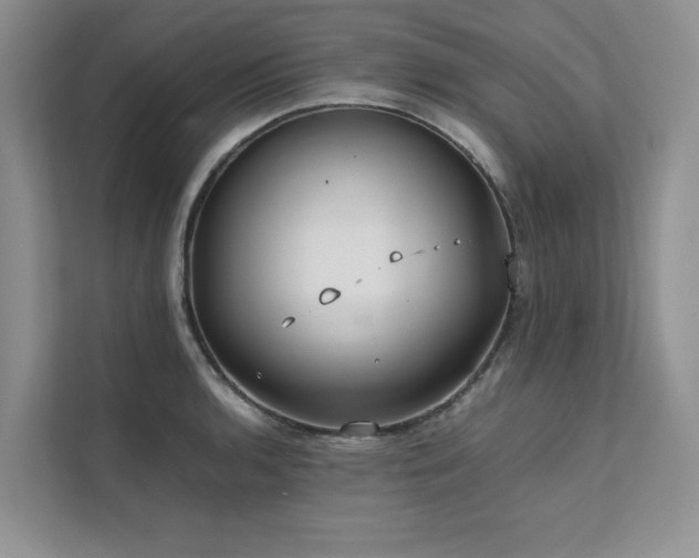 X0000111631136200907171521