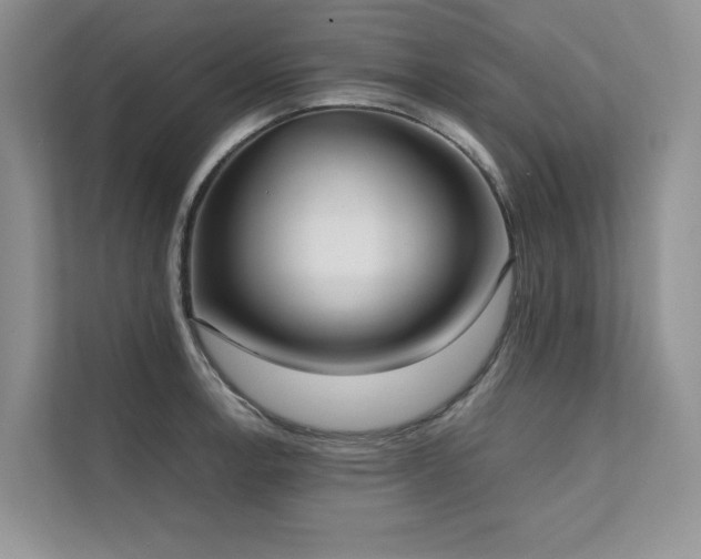 X0000111631138200907171521