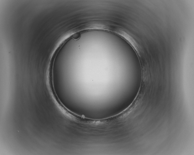 X0000111631139200907171521