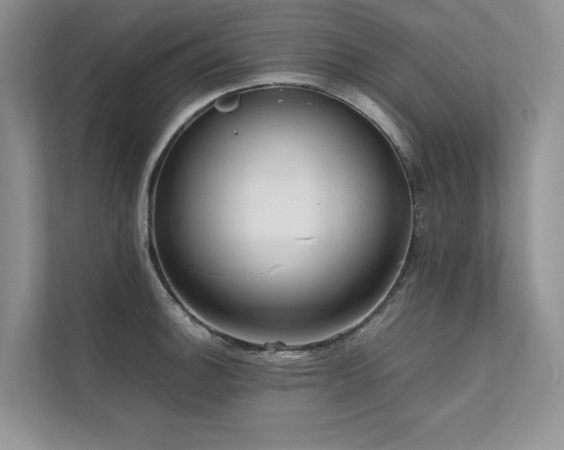 X0000111631140200907171521