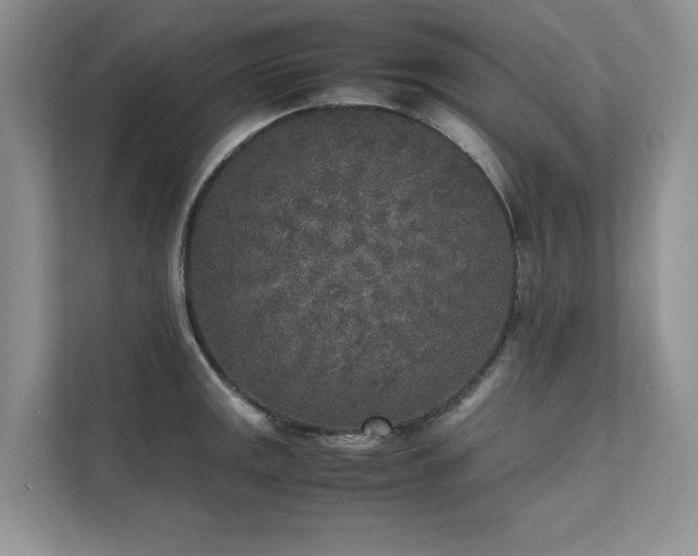 X0000111631141200907171521