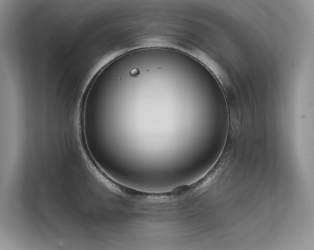 X0000111631142200907171521