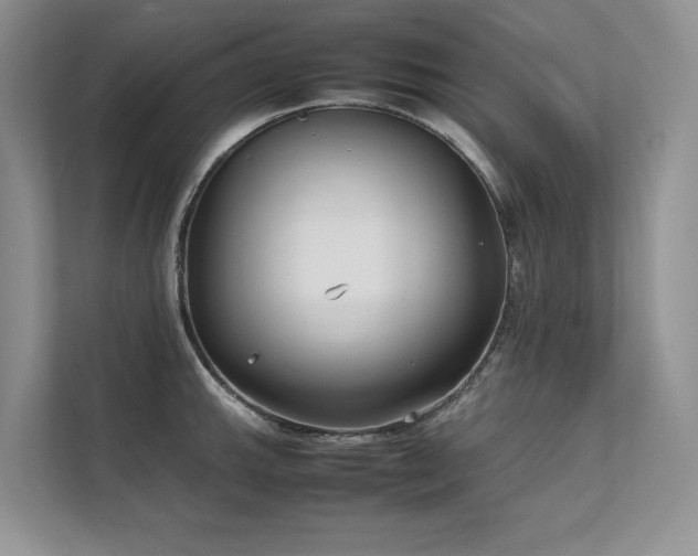 X0000111631143200907171521
