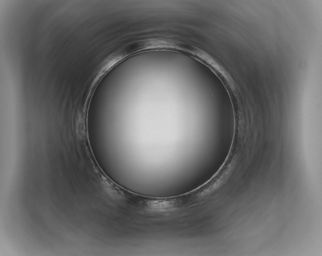 X0000111631145200907171521