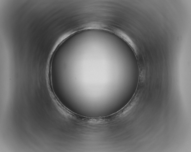 X0000111631146200907171521