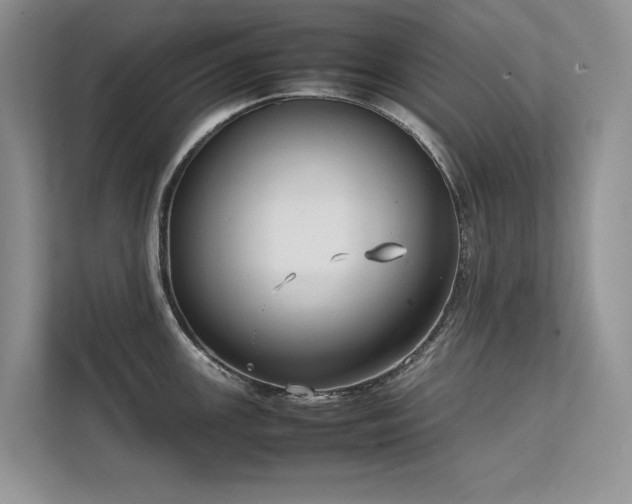 X0000111631147200907171521