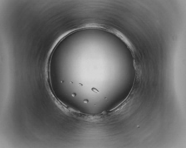 X0000111631148200907171521