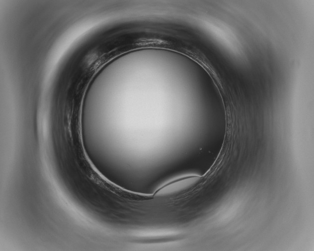 X0000111631151200907171521