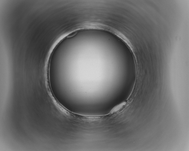 X0000111631152200907171521