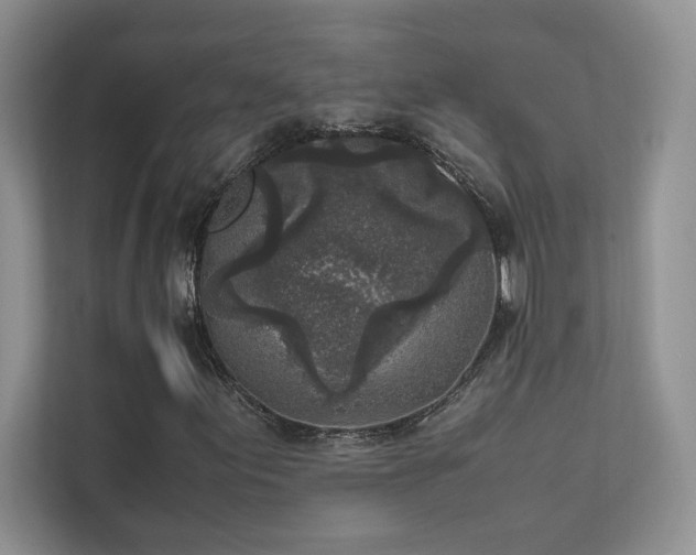 X0000111631155200907171521