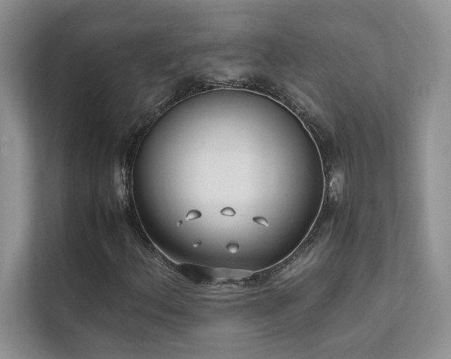 X0000111631156200907171521
