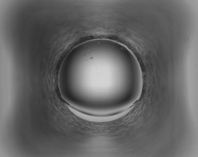 X0000111631157200907171521