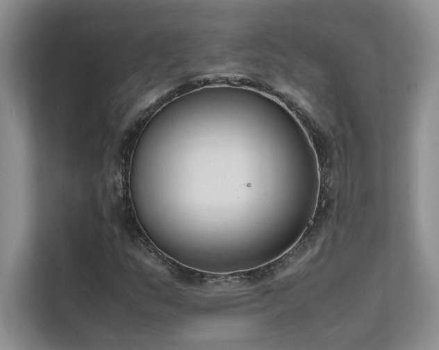 X0000111631159200907171521