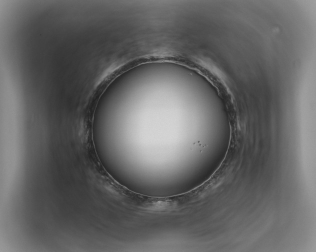 X0000111631160200907171521
