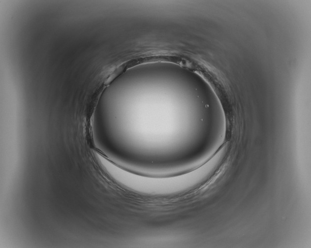X0000111631161200907171521