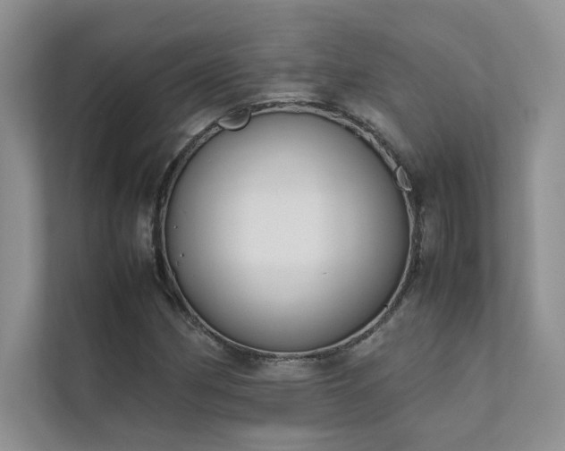 X0000111631162200907171521