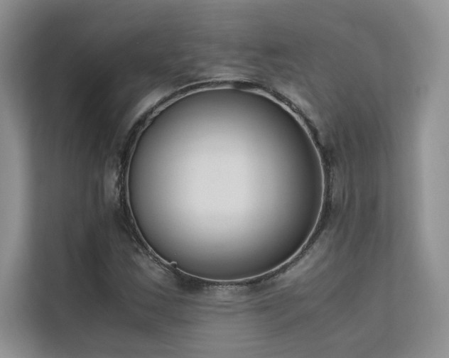 X0000111631163200907171521