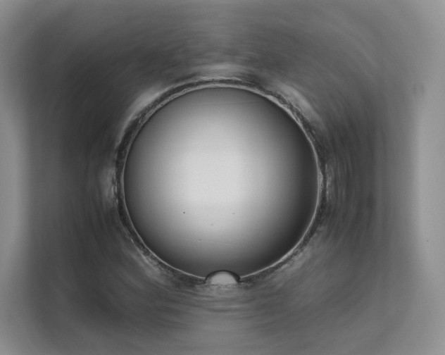 X0000111631164200907171521