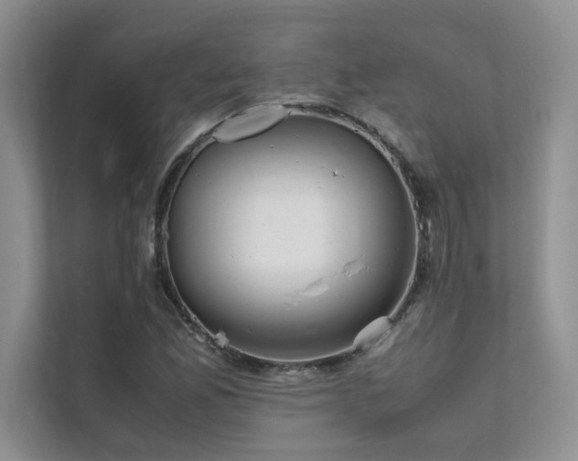 X0000111631165200907171521
