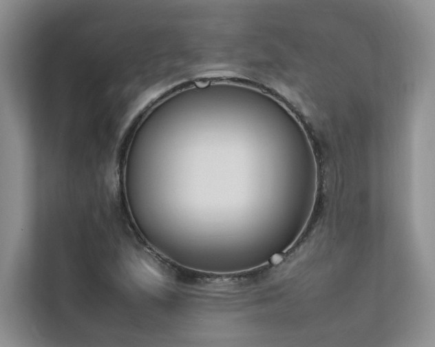 X0000111631167200907171521