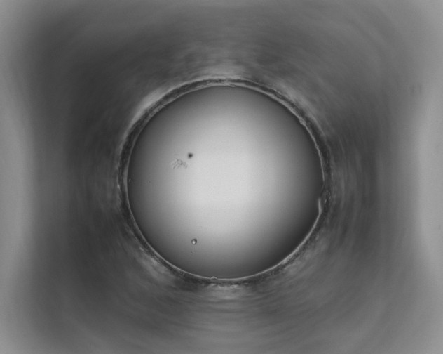 X0000111631168200907171521