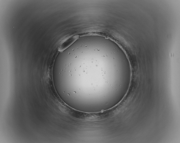 X0000111631169200907171521