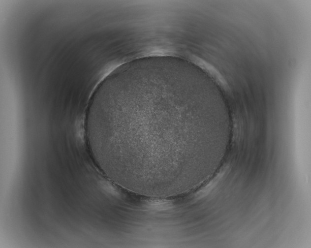 X0000111631170200907171521