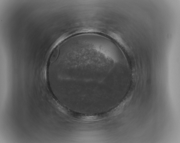 X0000111631173200907171521