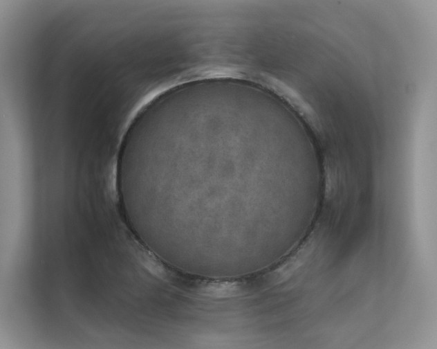 X0000111631174200907171521
