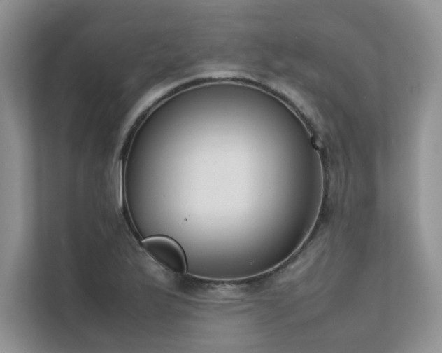 X0000111631175200907171521
