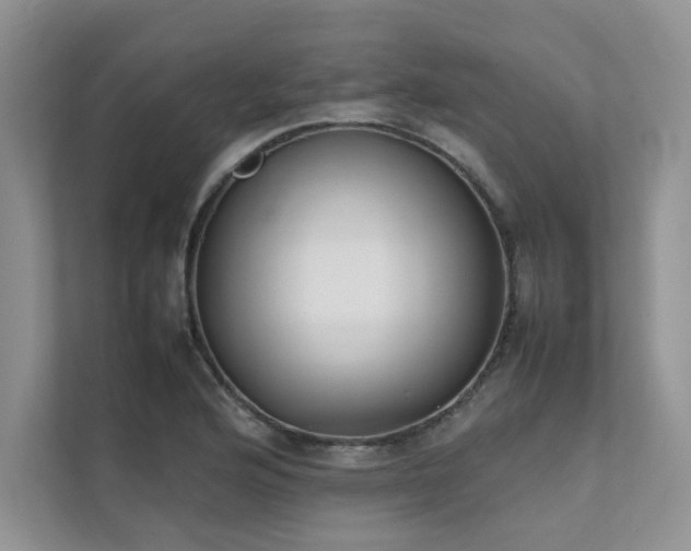 X0000111631176200907171521