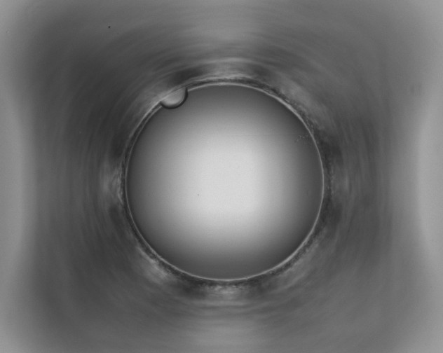 X0000111631177200907171521