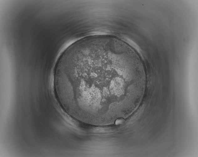 X0000111631179200907171521