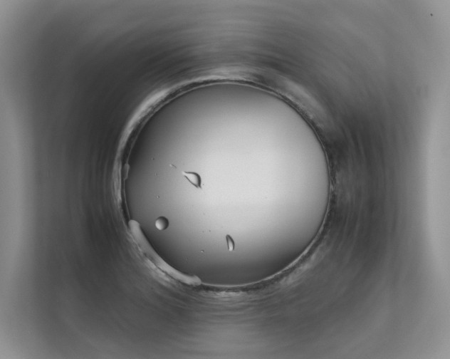X0000111631180200907171521