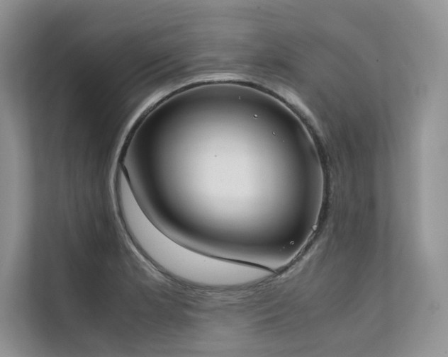 X0000111631181200907171520