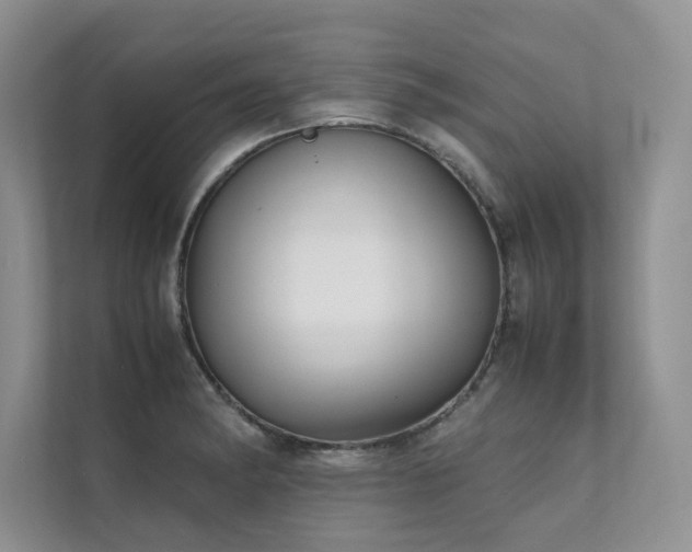 X0000111631182200907171520
